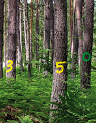 Forestry Marking Paint